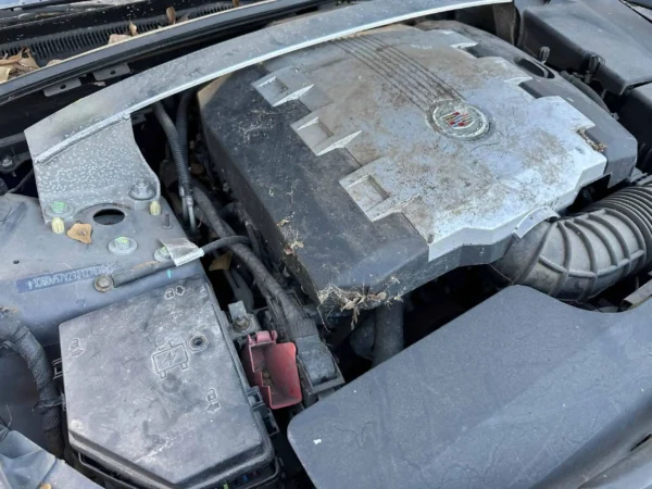 Cadillac CTS 2009 Blue Used Parts - Image 15